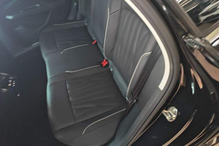 Used Volkswagen Passat 2023 330TSI Starry Luxury Edition Left Rear Seat
