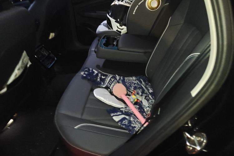 Used Volkswagen Passat 2024 380TSI Starry Elite Edition Left Rear Seat