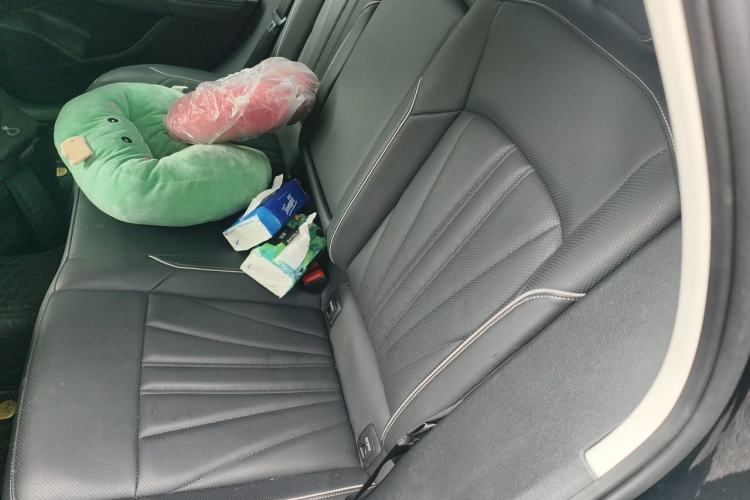 Used Volkswagen Passat 2024 380TSI Elite Edition Left Rear Seat