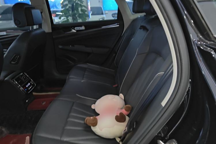 Used Volkswagen Passat 2024 330TSI Starry Elite Edition Left Rear Seat