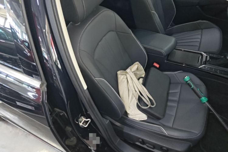 Used Volkswagen Passat 2024 330TSI Starry Elite Edition Right Front Seat