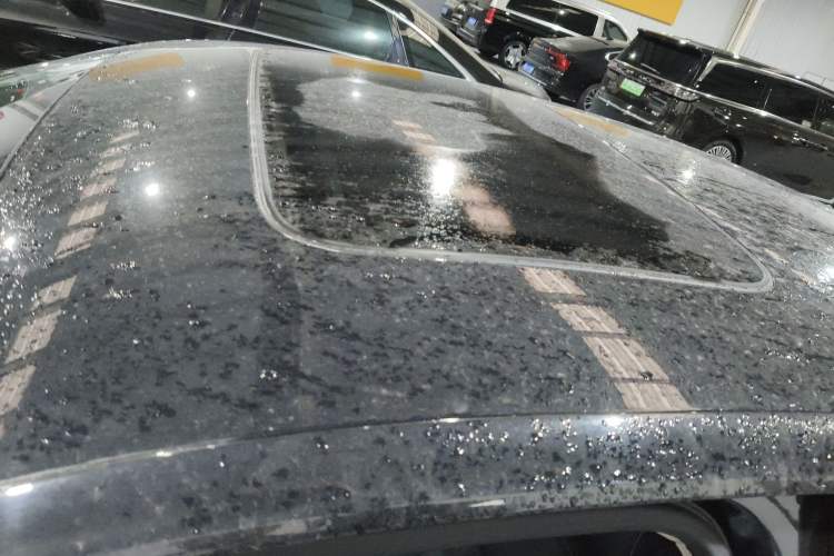 Used Volkswagen Passat 2024 280TSI Business Edition Roof