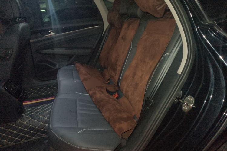 Used Volkswagen Passat 2025 Premium Version 380TSI Dragon Edition Left Rear Seat