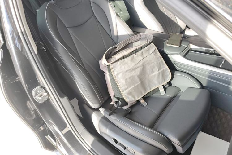 Used Volkswagen Passat 2025 Pro 380TSI Dragon Glory Edition Right Front Seat