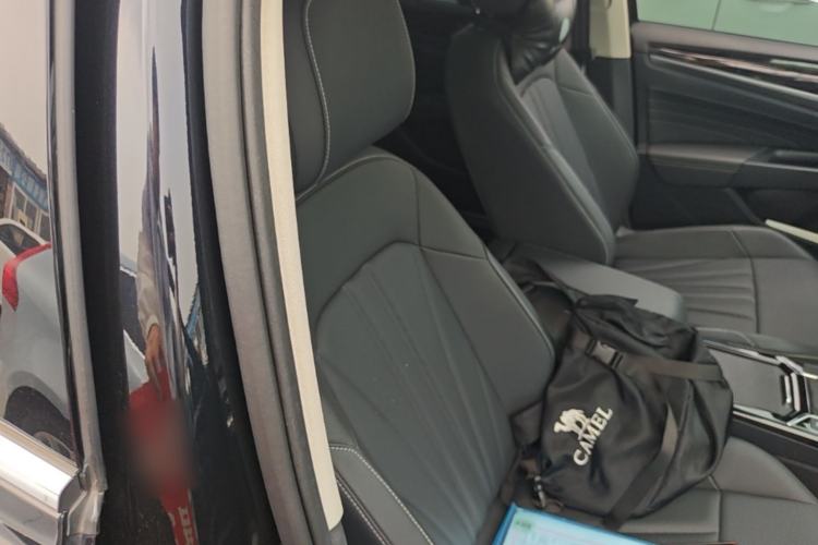 Used Volkswagen Passat 2025 Outstanding Model 380TSI Starry Dragon Glorious Edition Right Front Seat