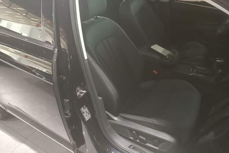 Used Volkswagen Passat 2025 Outstanding Model 330TSI Starry Elite Edition Right Front Seat