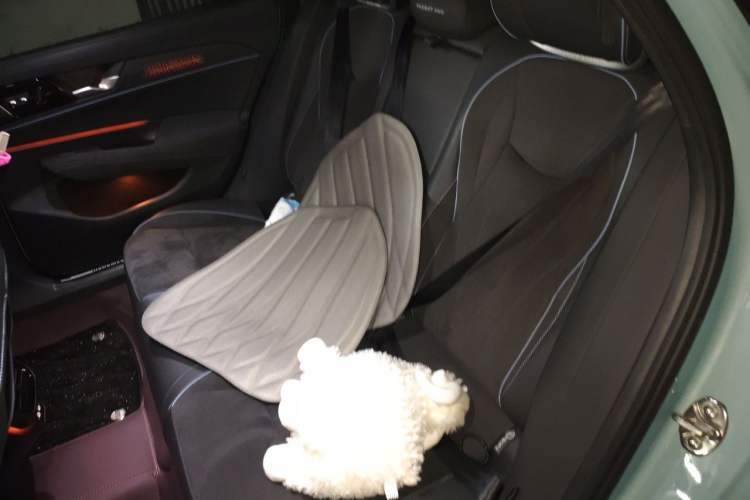 Used Volkswagen Passat 2025 Pro 380TSI Starry Dragon Luxury Edition Left Rear Seat