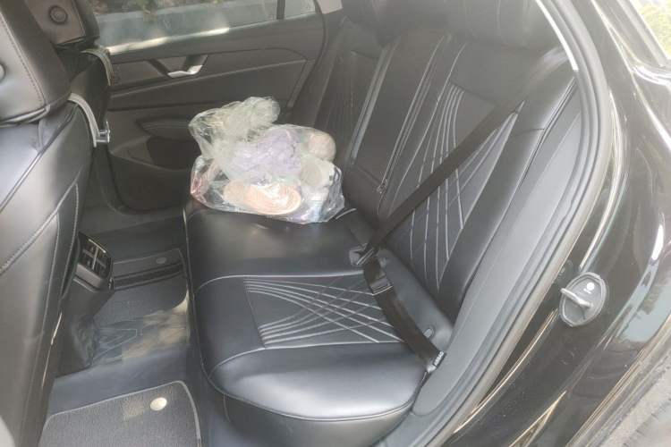 Used Volkswagen Passat 2026 Model, Pro 380TSI Longyao Edition Left Rear Seat