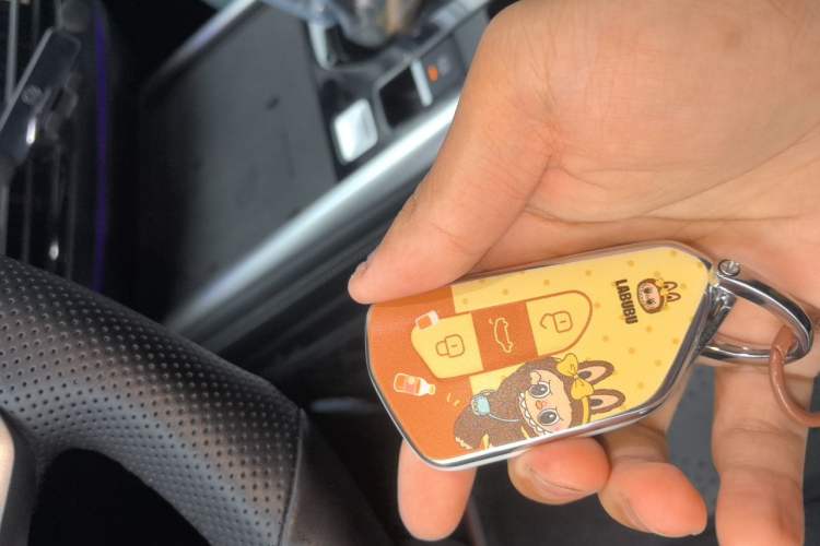 Used Volkswagen Passat 2026 Model, Pro 380TSI Xingkong Longyao Edition Vehicle Key