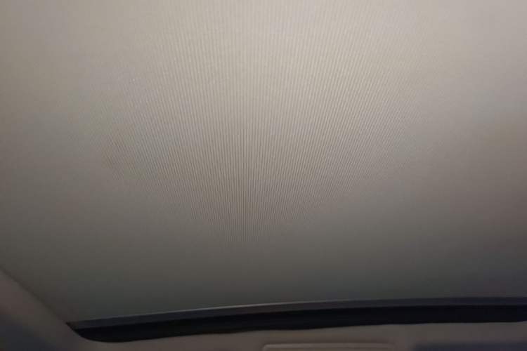 Used Volkswagen Passat New Energy 2019 430 PHEV Hybrid Luxury Edition Headliner