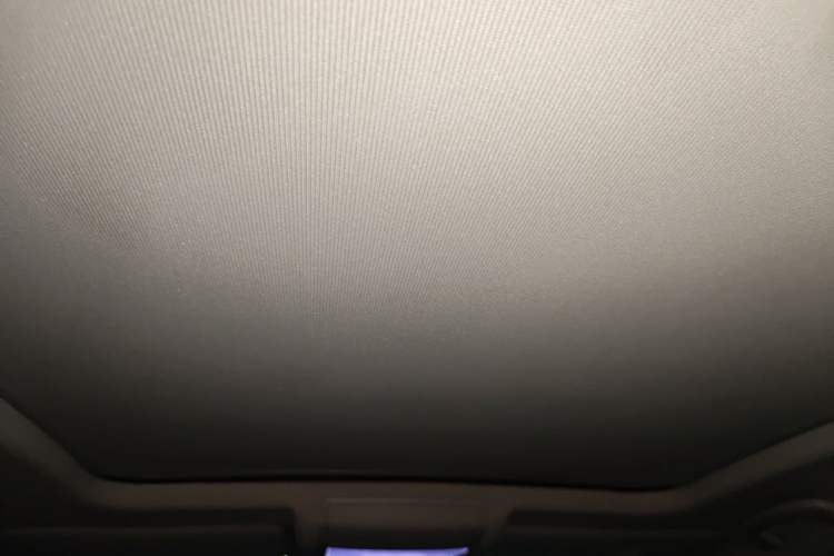 Used Volkswagen Passat New Energy 2019 430 PHEV Hybrid Luxury Edition Headliner