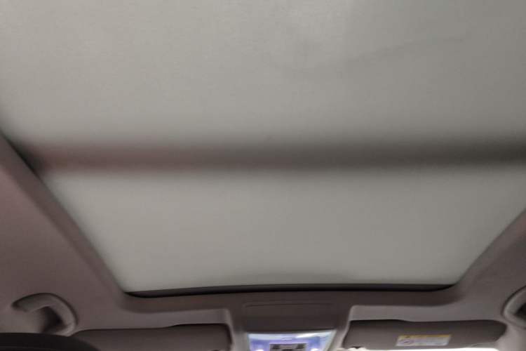 Used Volkswagen Passat New Energy 2019 430 PHEV Hybrid Luxury Edition Headliner