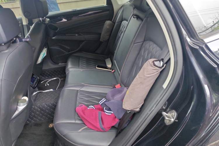 Used Volkswagen Passat New Energy 2019 430 PHEV Hybrid Luxury Edition Left Rear Seat