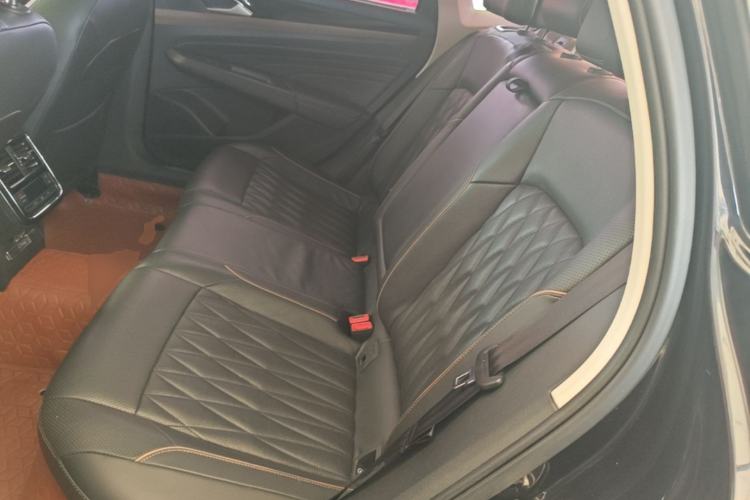 Used Volkswagen Passat New Energy 2019 430 PHEV Hybrid Luxury Edition Left Rear Seat
