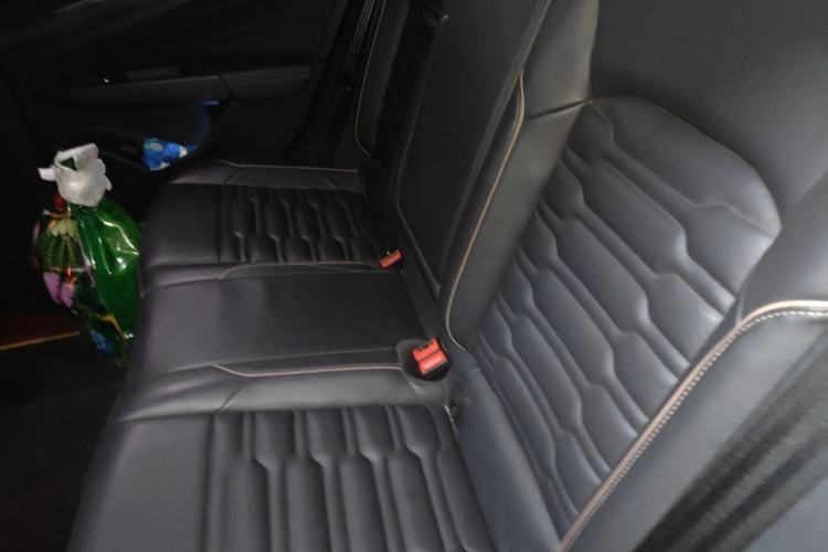 Used Volkswagen Passat New Energy 2019 430 PHEV Hybrid Elite Edition Left Rear Seat