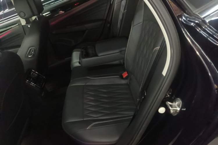 Used Volkswagen Passat New Energy 2019 430 PHEV Hybrid Luxury Edition Left Rear Seat
