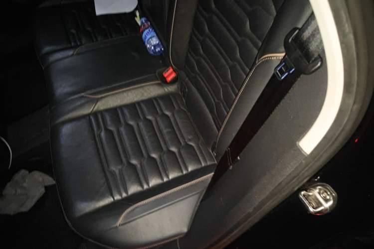 Used Volkswagen Passat New Energy 2019 430 PHEV Hybrid Elite Edition Left Rear Seat