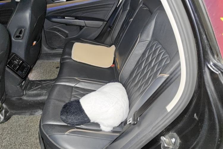 Used Volkswagen Passat New Energy 2019 430 PHEV Hybrid Luxury Edition Left Rear Seat