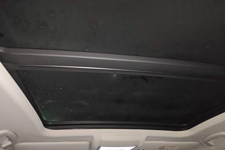 Used Volkswagen Passat New Energy 2019 430 PHEV Hybrid Luxury Edition Headliner