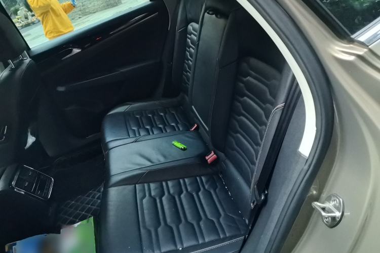 Used Volkswagen Passat New Energy 2019 430 PHEV Hybrid Elite Edition Left Rear Seat