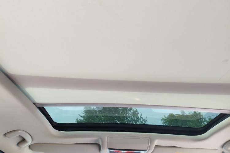 Used Volkswagen Passat New Energy 2020 430 PHEV Hybrid Luxury Edition China VI Standard Headliner