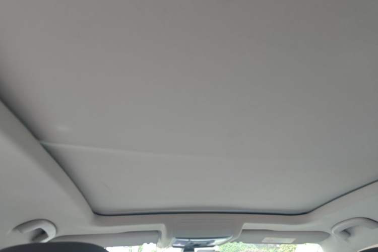 Used Volkswagen Passat New Energy 2020 430 PHEV Hybrid Luxury Edition China VI Standard Headliner