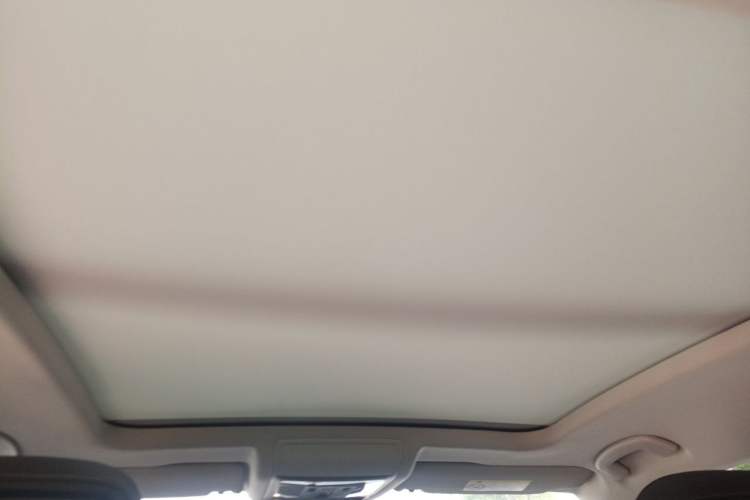 Used Volkswagen Passat New Energy 2020 430 PHEV Hybrid Luxury Edition China VI Standard Headliner