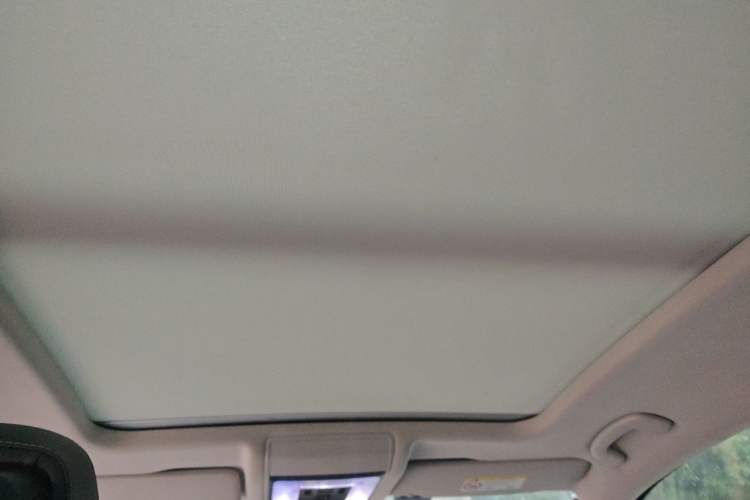 Used Volkswagen Passat New Energy 2020 430 PHEV Hybrid Luxury Edition China VI Standard Headliner