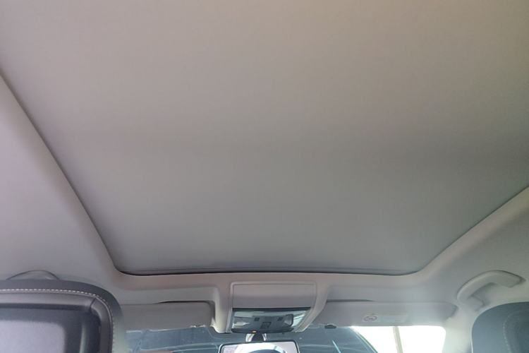 Used Volkswagen Passat New Energy 2020 430 PHEV Hybrid Luxury Edition China VI Standard Headliner