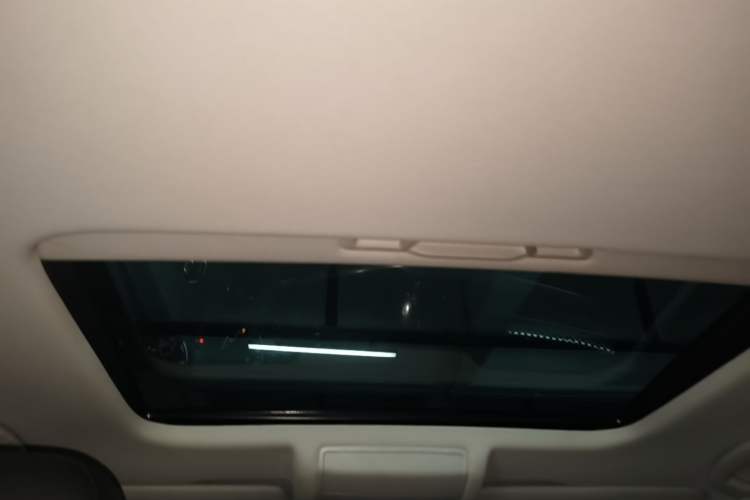 Used Volkswagen Passat New Energy  Headliner