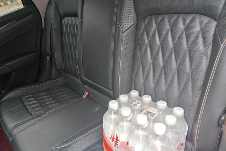 Used Volkswagen Passat New Energy 2020 430 PHEV Hybrid Luxury Edition China VI Standard Left Rear Seat