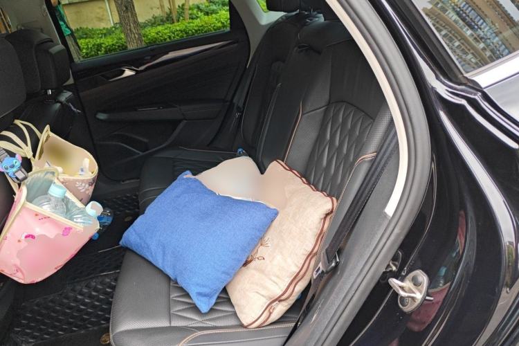 Used Volkswagen Passat New Energy 2020 430 PHEV Hybrid Luxury Edition China VI Standard Left Rear Seat