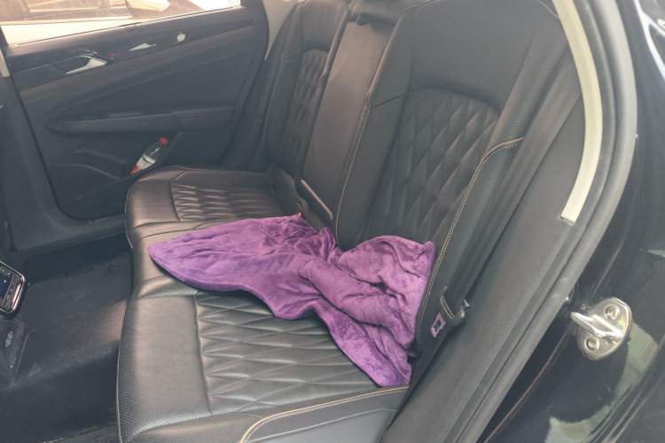 Used Volkswagen Passat New Energy 2020 430 PHEV Hybrid Luxury Edition China VI Standard Left Rear Seat