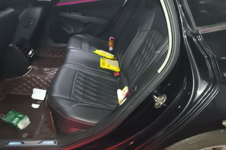 Used Volkswagen Passat New Energy 2020 430 PHEV Hybrid Luxury Edition China VI Standard Left Rear Seat