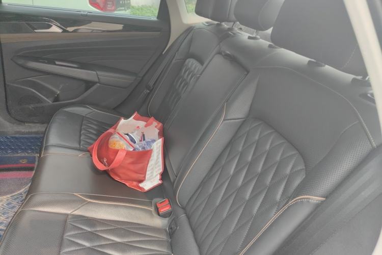 Used Volkswagen Passat New Energy 2020 430 PHEV Hybrid Luxury Edition China VI Standard Left Rear Seat