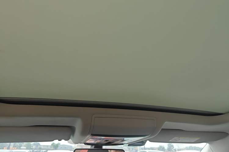 Used Volkswagen Passat New Energy 2020 430 PHEV Hybrid Elite Edition China VI Standard Headliner