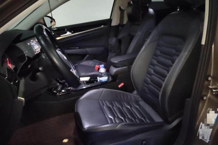 Used Volkswagen Passat New Energy 2020 430 PHEV Hybrid Elite Edition China VI Standard Left Front Seat