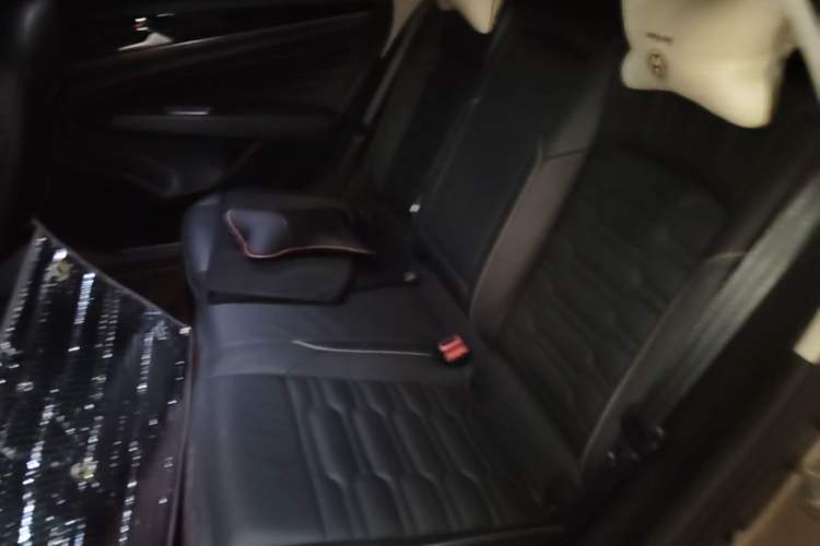 Used Volkswagen Passat New Energy 2020 430 PHEV Hybrid Elite Edition China VI Standard Left Rear Seat