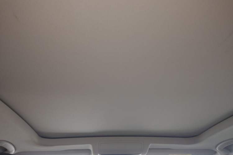 Used Volkswagen Passat New Energy 2020 430 PHEV Hybrid Luxury Edition China VI Standard Headliner
