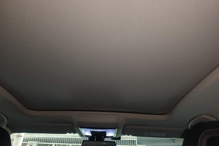 Used Volkswagen Passat New Energy 2020 430 PHEV Hybrid Luxury Edition China VI Standard Headliner