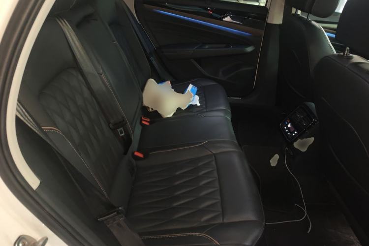 Used Volkswagen Passat New Energy 2020 430 PHEV Hybrid Luxury Edition China VI Standard Left Rear Seat