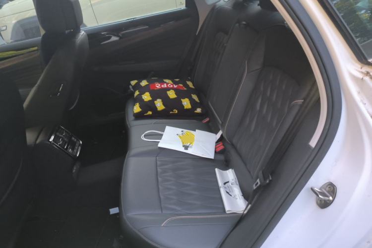 Used Volkswagen Passat New Energy 2020 430 PHEV Hybrid Luxury Edition China VI Standard Left Rear Seat