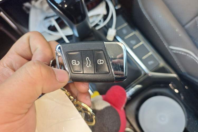 Used Volkswagen Passat New Energy 2020 430 PHEV Hybrid Luxury Edition China VI Standard Vehicle Key