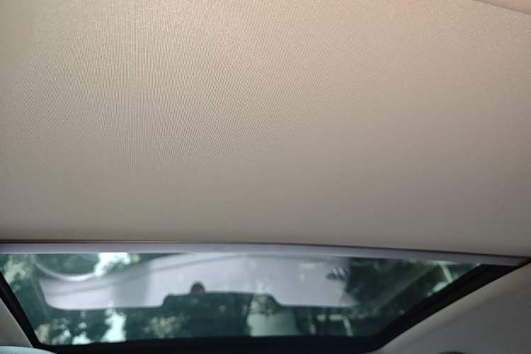 Used Volkswagen Passat New Energy 2022 430 PHEV Hybrid Luxury Edition Headliner
