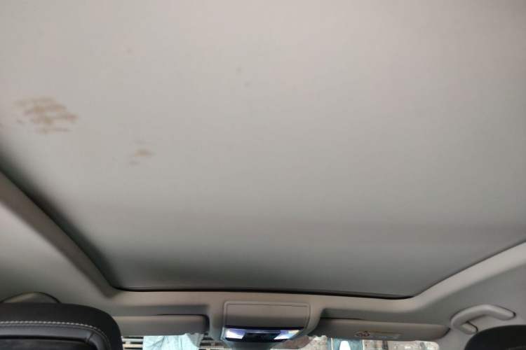 Used Volkswagen Passat New Energy 2022 430 PHEV Hybrid Luxury Edition Headliner