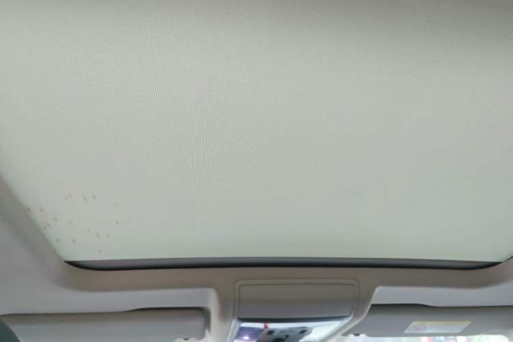 Used Volkswagen Passat New Energy 2022 430 PHEV Hybrid Luxury Edition Headliner