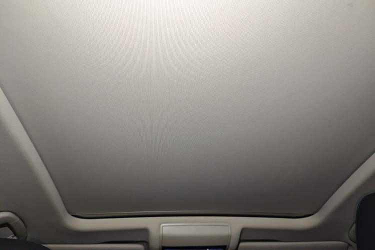 Used Volkswagen Passat New Energy 2022 430 PHEV Hybrid Luxury Edition Headliner