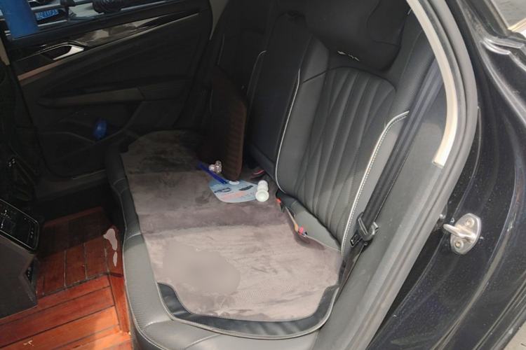 Used Volkswagen Passat New Energy 2022 430 PHEV Hybrid Luxury Edition Left Rear Seat