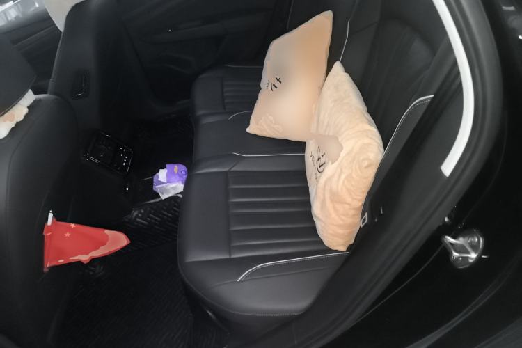 Used Volkswagen Passat New Energy 2022 430 PHEV Hybrid Elite Edition Left Rear Seat