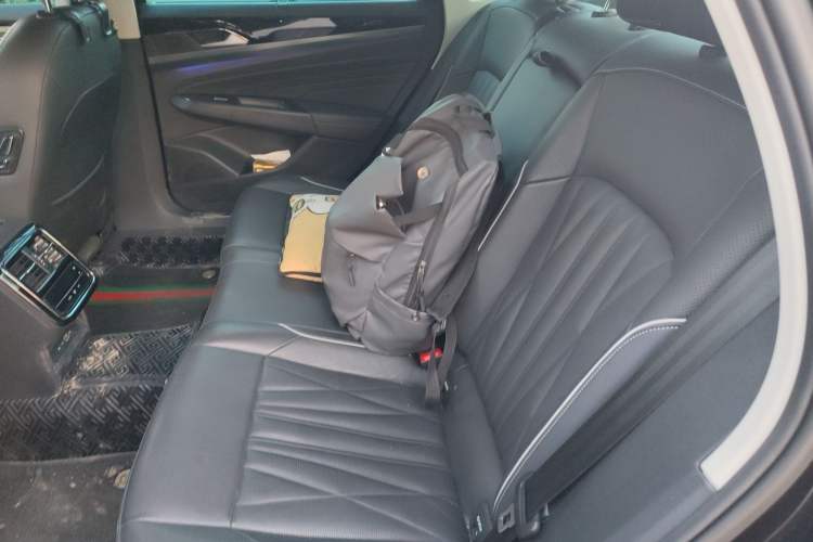 Used Volkswagen Passat New Energy 2022 430 PHEV Hybrid Luxury Edition Left Rear Seat